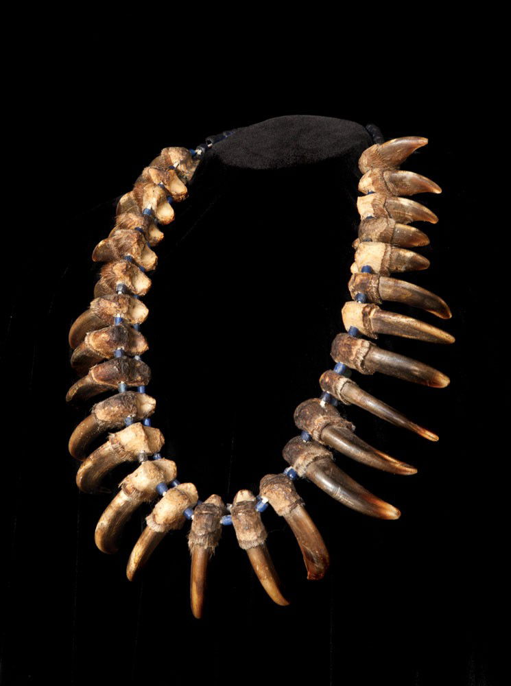 Native bear claw necklace deals