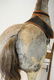 late 19th c hide horse rocking horse with wheels - 10