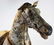 late 19th c hide horse rocking horse with wheels - 5