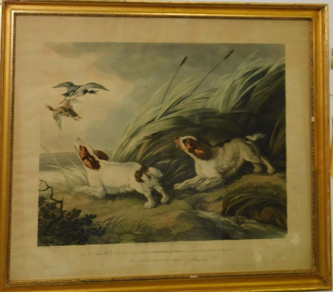 FC Lewis Hand Colored lithograph Springing Spaniels: F.C. Lewis London hand colored lithograph Sir John Shelly Springing Spaniels 15 x 20"