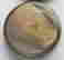 item-55706645=9