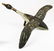 early 20th c folk art flying goose decoy - 2