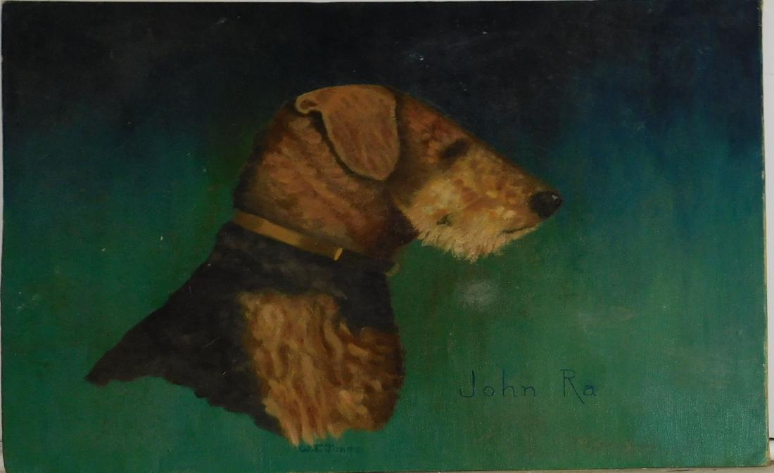 WF Jones- John RA portrait of Airedale (1 of 1)