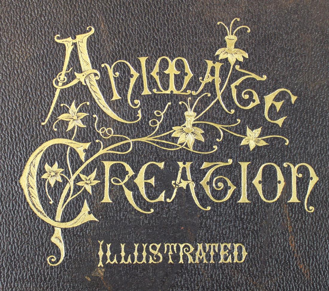 Animate Creation in 5 volumes: Rev. JW Wood's Animate Creation in 5 volumes with Prang Chromolithographs, copiously illustrated- Boards loose and losses to bindings, Sold with 1887-1888 Bureau of Ethnology annual report