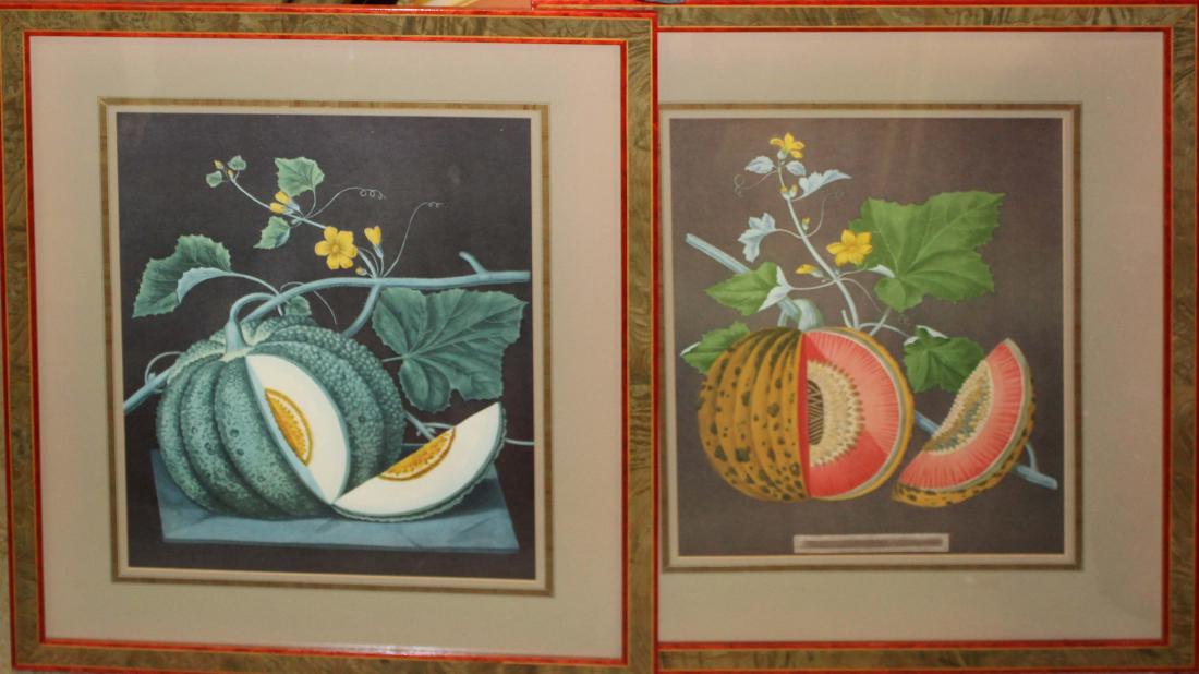 Pair of 19th c Chromolithographs of fruit (1 of 3)