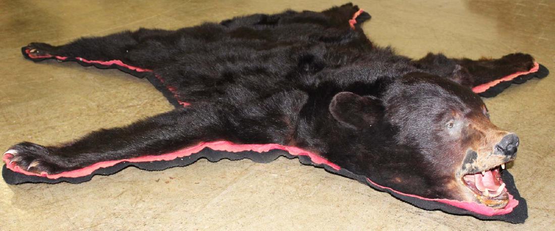 5 ft black bear skin rug: Clean black bear skin rug. Open mouth head mount in front Good overall condition. 5' x 5'. With rings to wall mount as well.