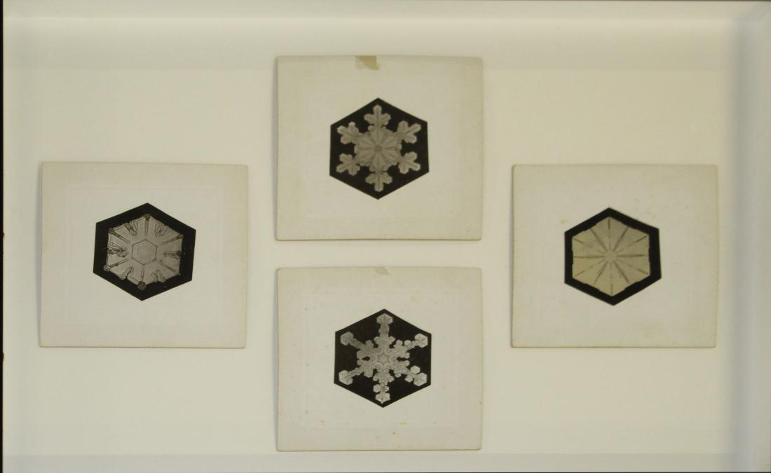 Four Snowflake Bentley silver gelatin prints: Four Snowflake Bentley Silver gelatin prints of snowflakes trimmed hexagonally mounted on late 19th/early 20th c cabinet cards mounted in shadow box each card 5 x5" unsigned