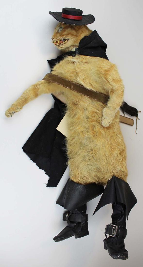 vintage Puss In Boots taxidermy: vintage Puss In Boots taxidermy, ht 28 1/2"
