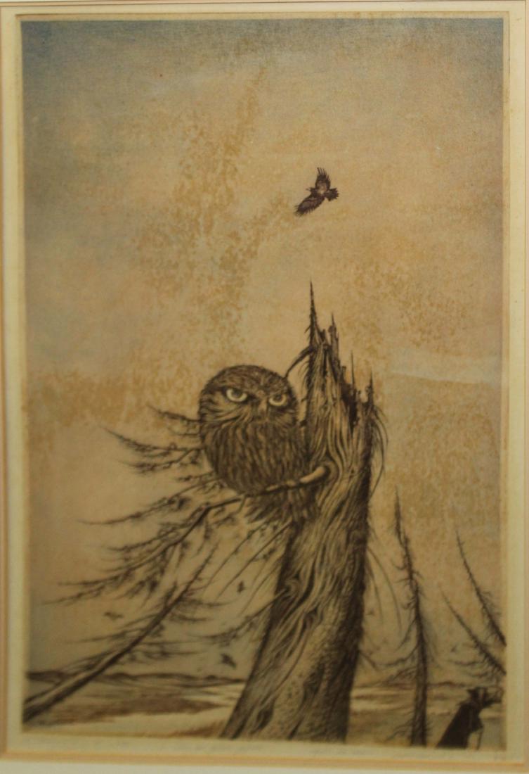 Demian Utenkov (RU) Owl on a dead tree (1 of 1)