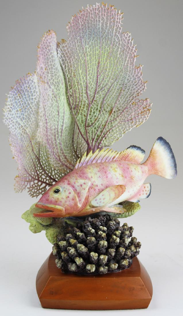 Royal Worcester Ronald Van Ruyckevelt fish: ca. 1960 Royal Worcester "Red Hind" (epinephelus guttatus) No. 463 bone china porcelain artisan fish sculpture designed and modeled by Ronald Van Ruyckevelt, set in square wooden base 12.5" x 9" -some