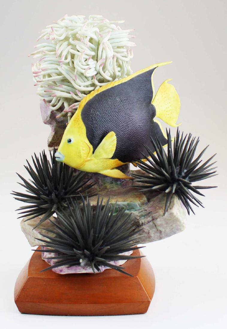 Royal Worcester Ronald Van Ruyckevelt fish: 1963 Royal Worcester "Rock Beauty" (holacanthus tricolor) No. 353 bone china porcelain artisan fish sculpture designed and modeled by Ronald Van Ruyckevelt, set in square wooden base 10" x 7.5" -some