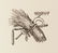1883 Child's Franklin & Grand Isle County - 3