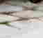 item-63012967=3