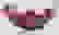 item-63013072=3