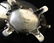 Reed & Barton sterling silver 3 pc. tea set - 6