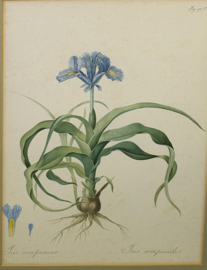 early 19th c hand colored print (1 of 1)