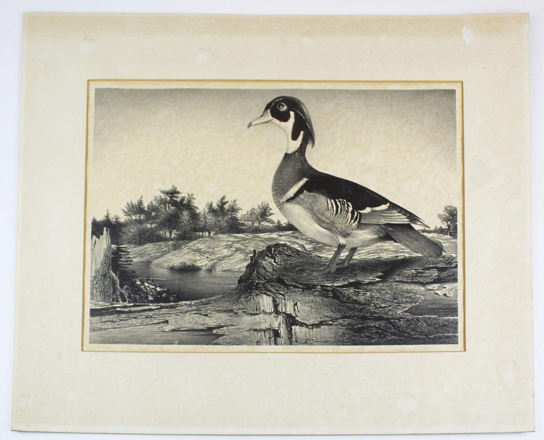 Stow Wengenroth Wood Duck sporting print (1 of 4)