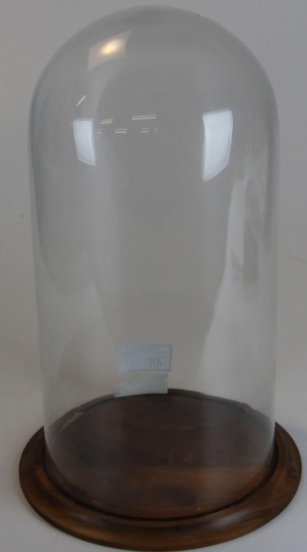 glass dome display case (1 of 1)