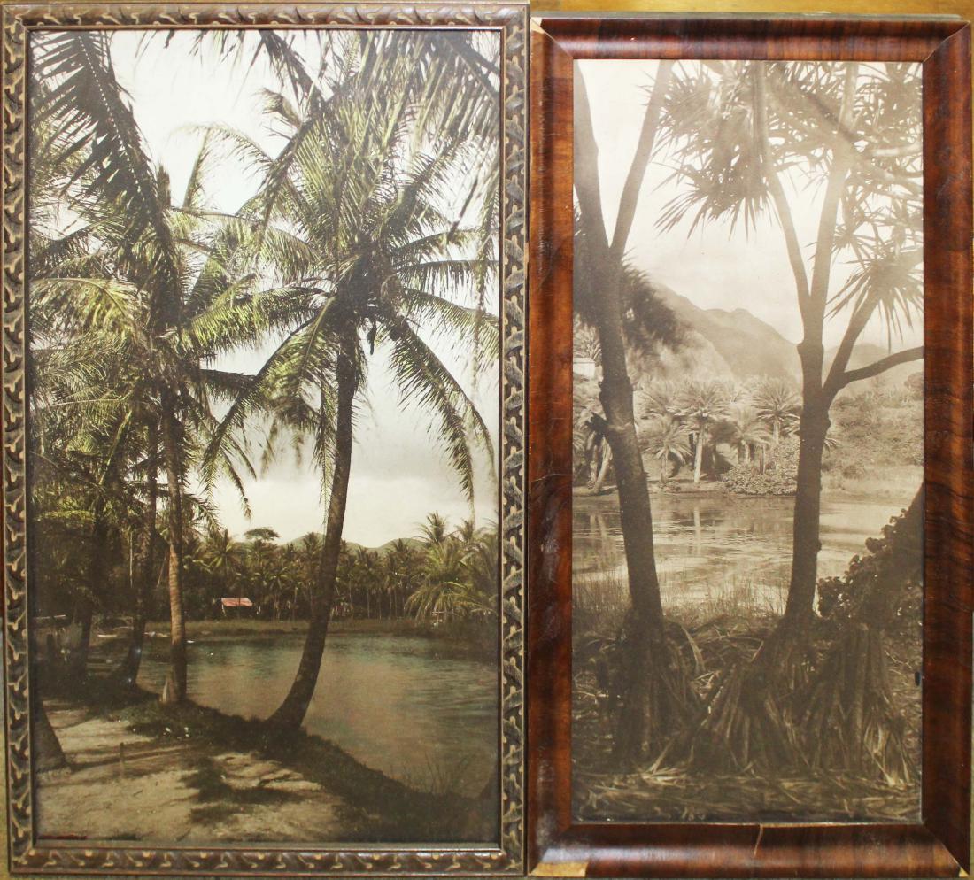 mid 20th c South Pacific photos, paintings: mid 20th c South Pacific photos, paintings, possibly Tahiti or Fiji islands (6 pcs), including hand colored photo, sizes 7" x 9" to 18" x 10"