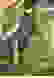 item-72819078=7