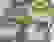 item-74594100=4
