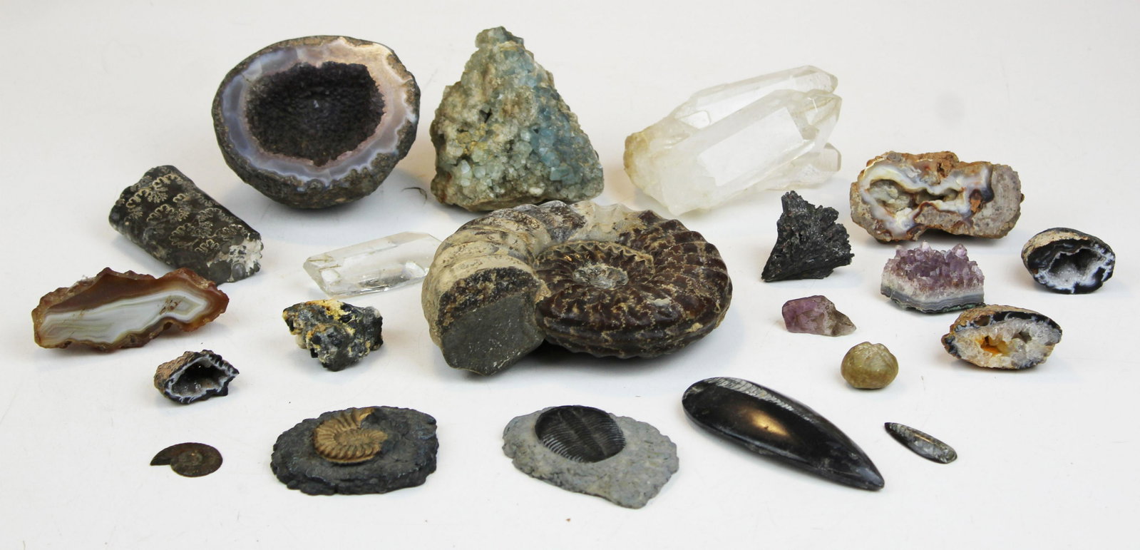 assorted minerals & fossils: assorted minerals & fossils including geodes, large crystals, fossil ammonite, etc