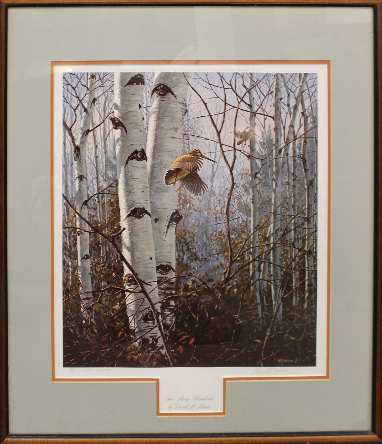 David A Maas "Two Away": David A. Maas (American 1929-) Two Away editioned print 4/30 Ducks Unlimited lithograph signed in margin 18 x 15"
