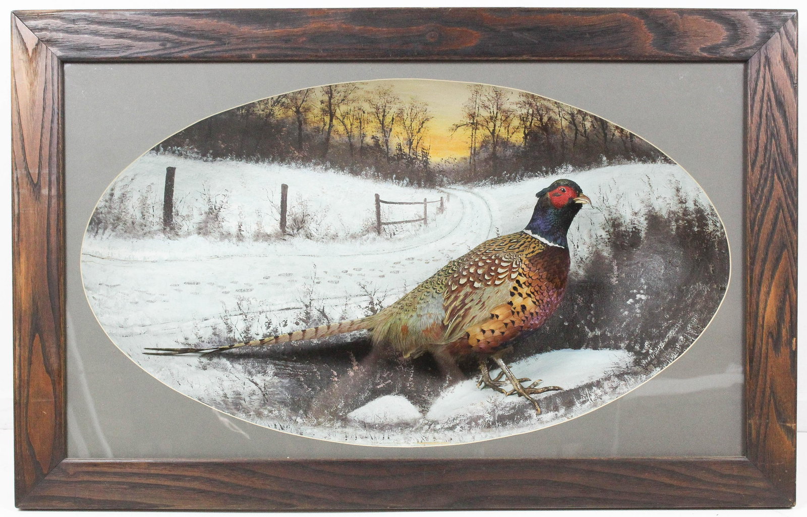 19th c Taxidermy Diorama of a Pheasant: late 19th c Taxidermy Diorama- Pheasant in a frame, signed M C Huppuch, Buffalo, NY, bubble glass, hand painted background, overall size 22" x 47"