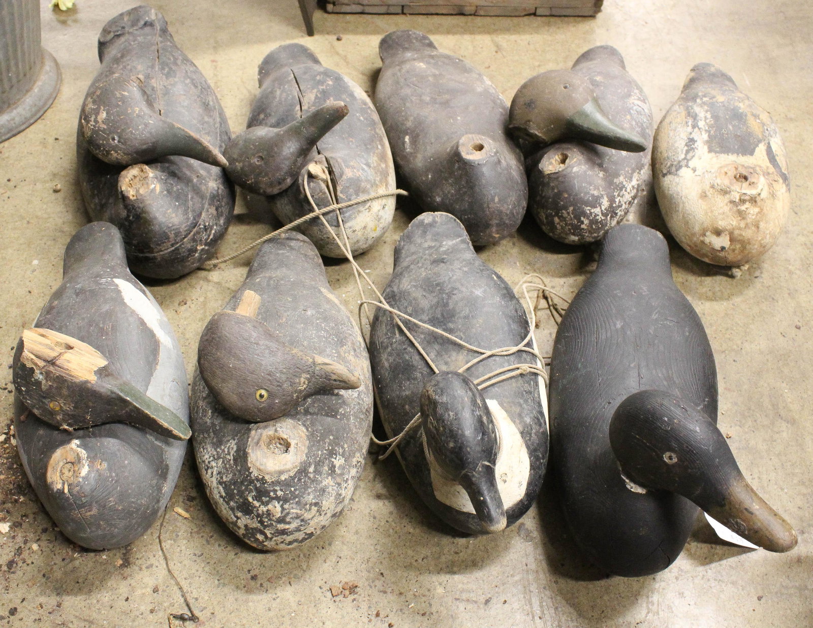 A group of 9 factory decoys: A group of 9 factory decoy bodies. Mason, etc. Premier body. Rough conditions. One standard grade glass eye Mason black duck.