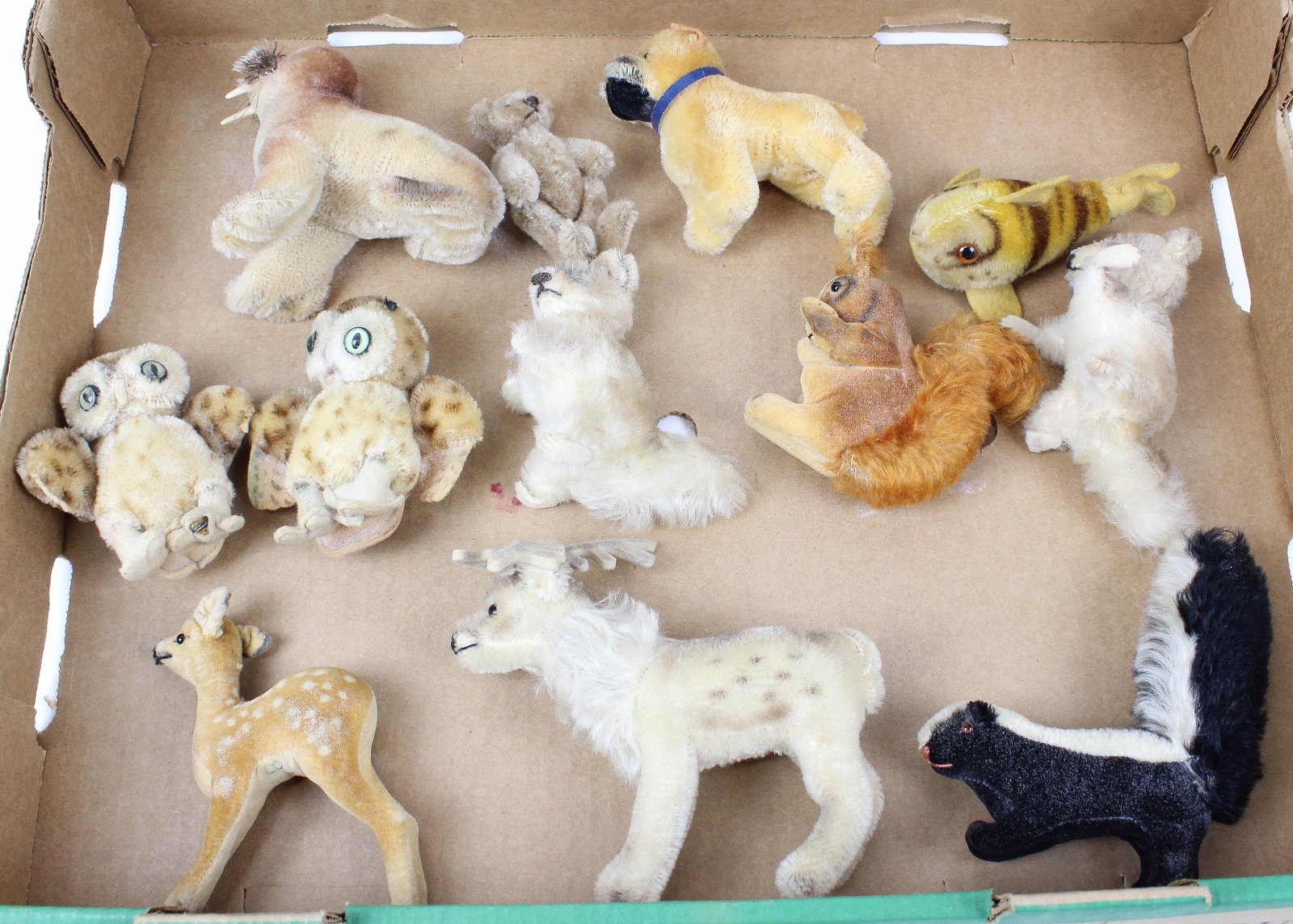 12 Steiff North American Animals: 12 Steiff North American animals, lengths 3 1/2" to 6"