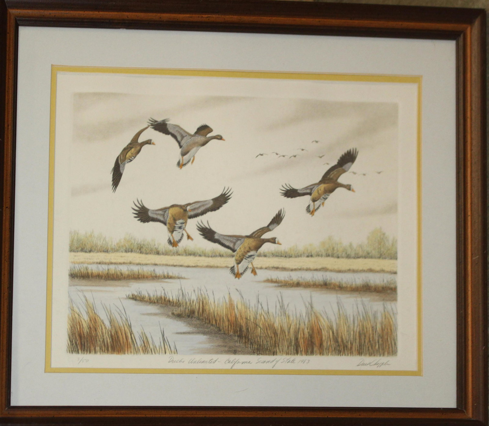 Lot of watercolors and prints.: Lot of Watercolors and prints, Camilla Churchill (VT 20th c), Jacqueline Hill watercolor of geese; Gerald Lubeck (Am 1942-)lithograph of geese; Peter Arnold Lithograph of a Pintail; Dave Chappel DU Li