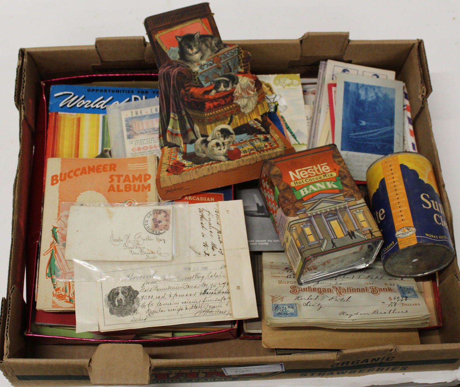 Ephemera, Advertising Pieces: Ephemera, advertising pieces, including Larkin Ideal White Soap color litho cats stand up, etc