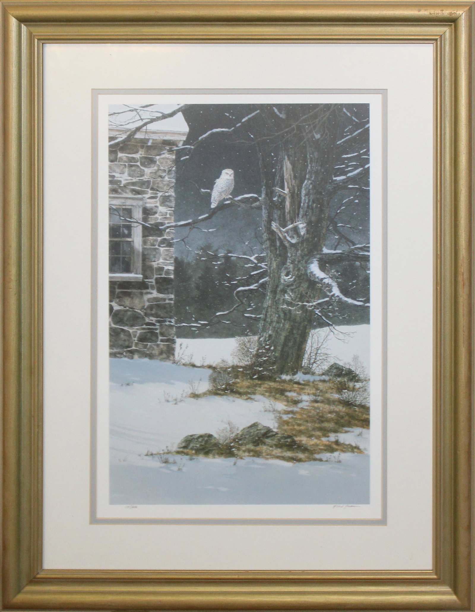 Fred Swan (VT contemporary) White Owl: Fred Swan (Vermont Contemporary) White Owl offset lithograph signed lower margin editioned 115/600 18 x 12"