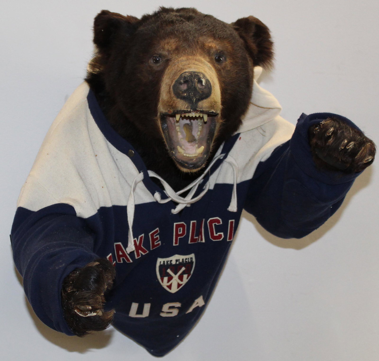 Black Bear Wall Mount: Black Bear Wall Mount 27" x 22 x 20" Leaping bear taxidermy presentation wearing a throwback Lake Placid Hockey Jersey.