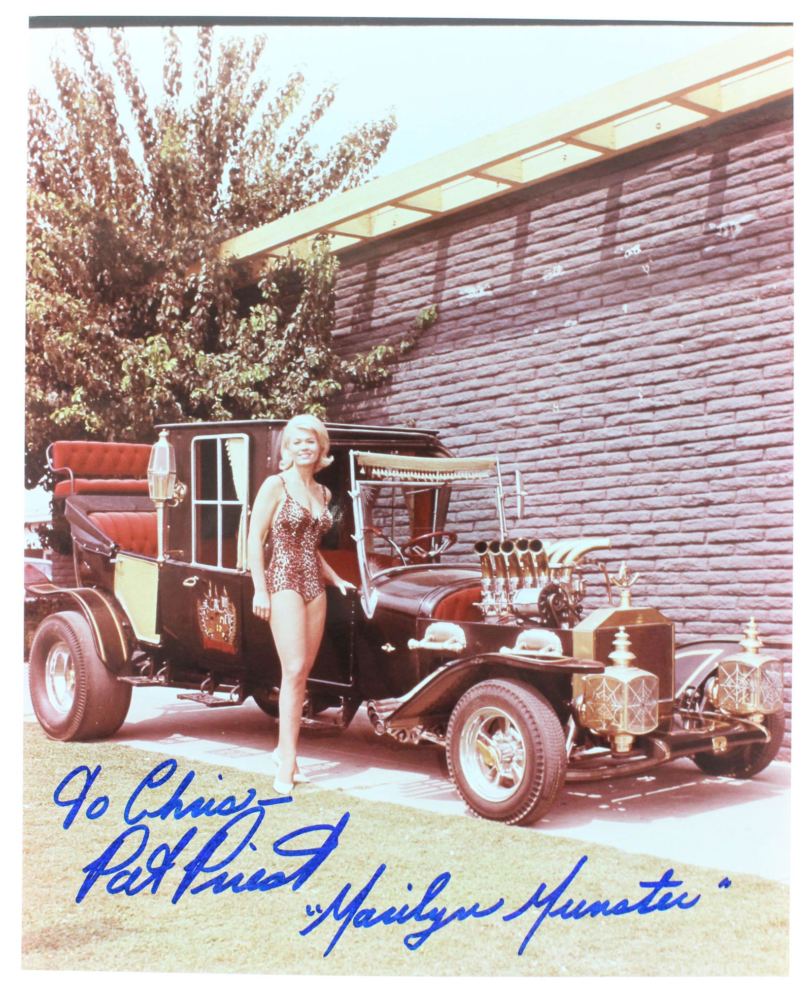 Pat Priest Signed Marilyn Munster Photo: Pat Priest autograph signed color photo portraying Marilyn Munster from the television series "The Munsters", with COA, 8" x 10"