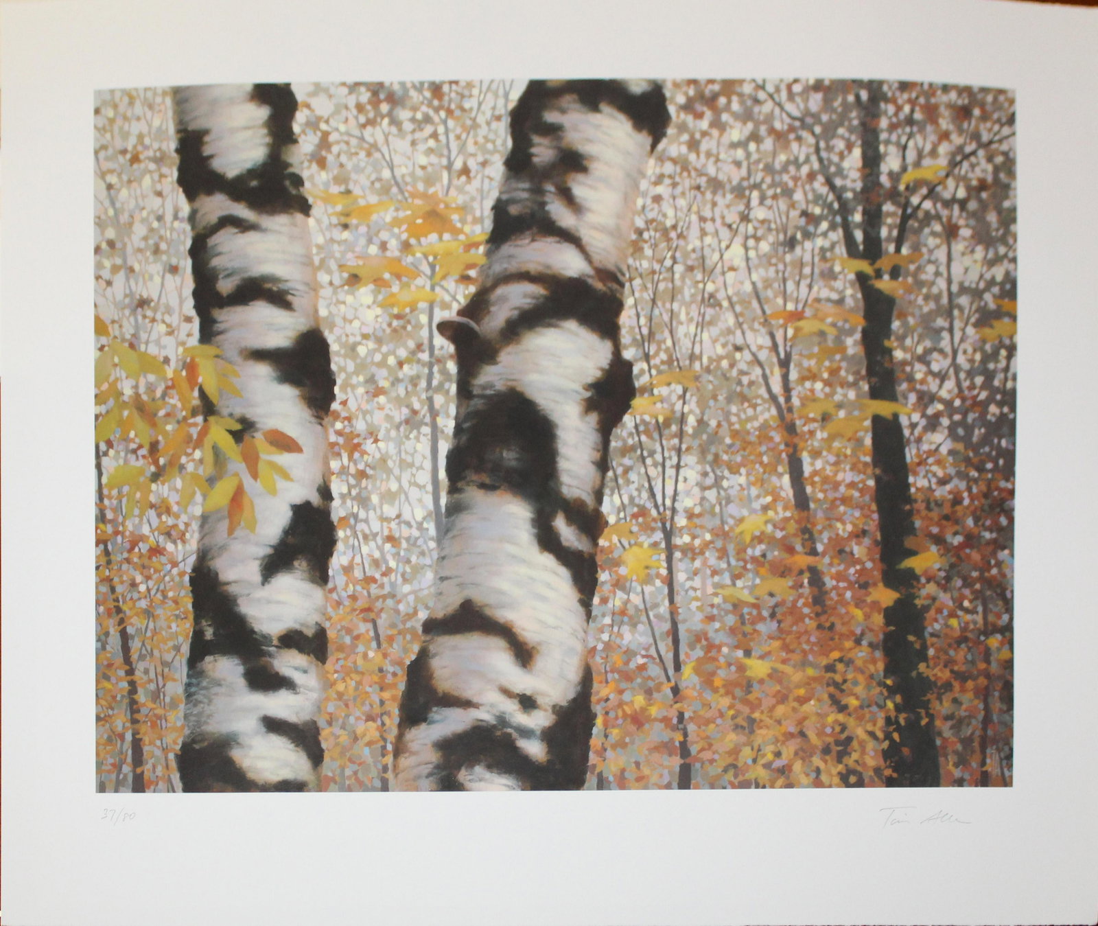 Tim Allen (Am. Vt.), "Putney Mountain Autumn": Tim Allen (Vermont), "Putney Mountain Autumn", 2009, archival pigment print printed by Cone Editions on Somerset Enhanced for Cone printmaking paper, no. 37 from an edition of 80 published by the Brat