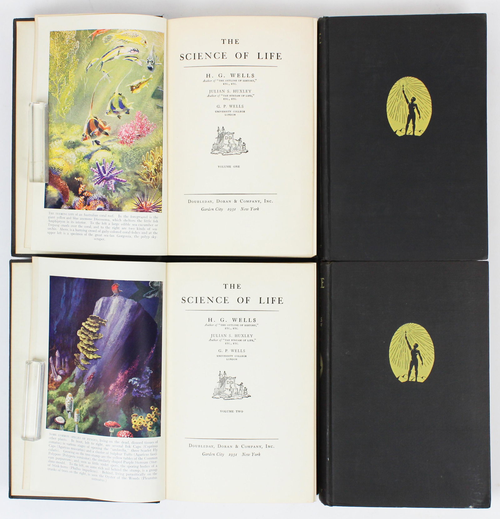 1931 H G Wells The Science of Life Set: H G Wells, Julian S Huxley, and G P Wells "The Science of Life" (4 vols), Doubleday and Doran 1st edition,octavo, gilt cloth, 9 1/2" x 6 1'2"