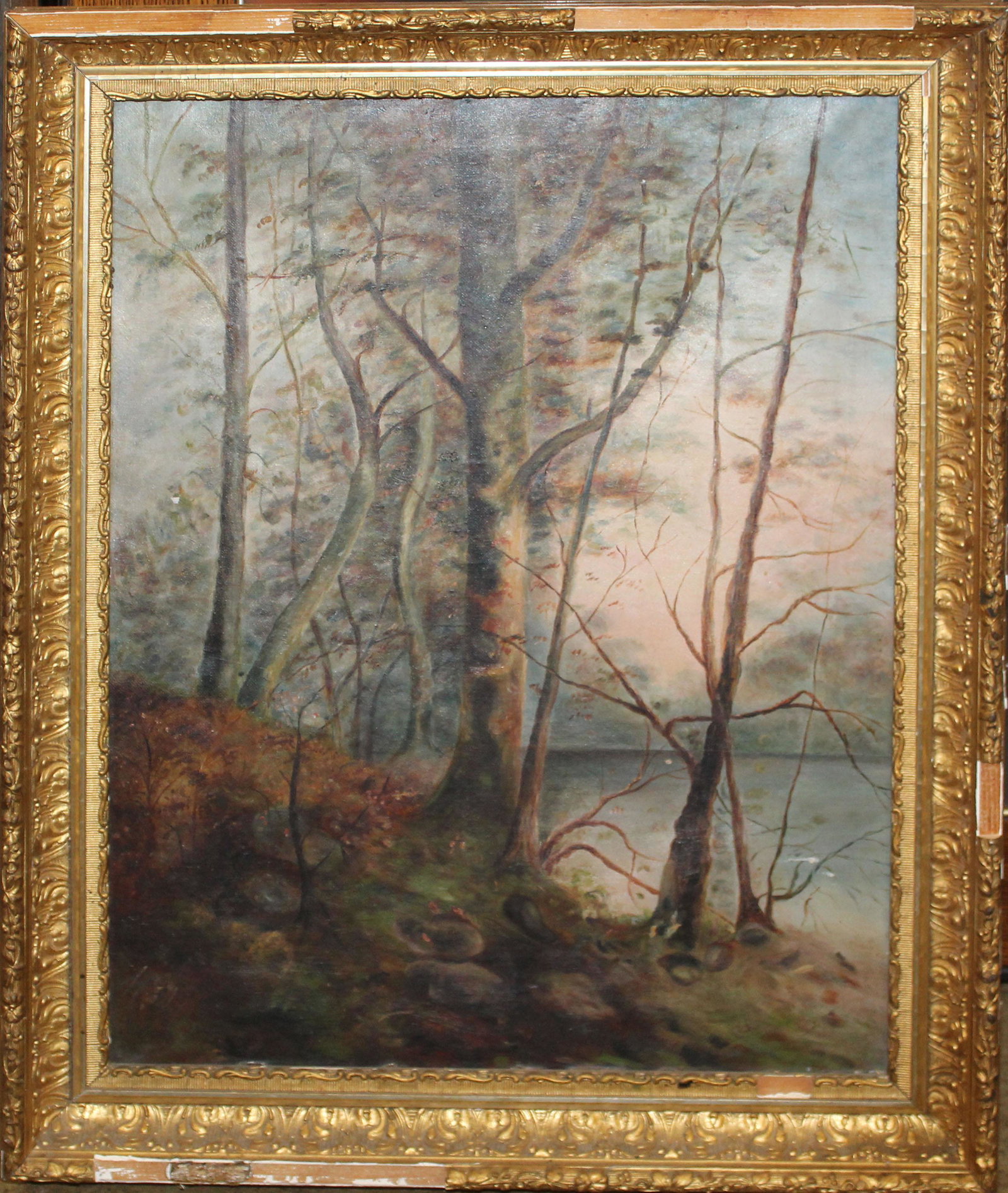 19th c Adirondack School Oil on Canvas: 19th c Adirondack School Oil on Canvas with birches 20 x 15"