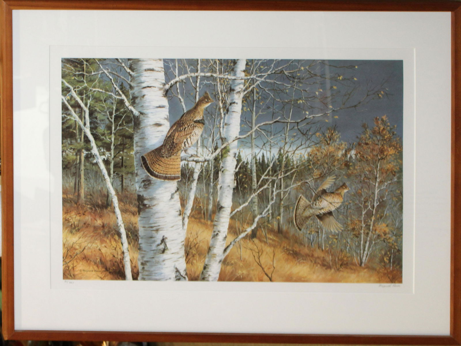 Maynard Reece (AM 1920-) Grouse in Flight: Maynard Reece (American 1920-) Grouse in flight sporting offset lithograph editioned 80/950 pencil signed lower margin plate 20 x 30"