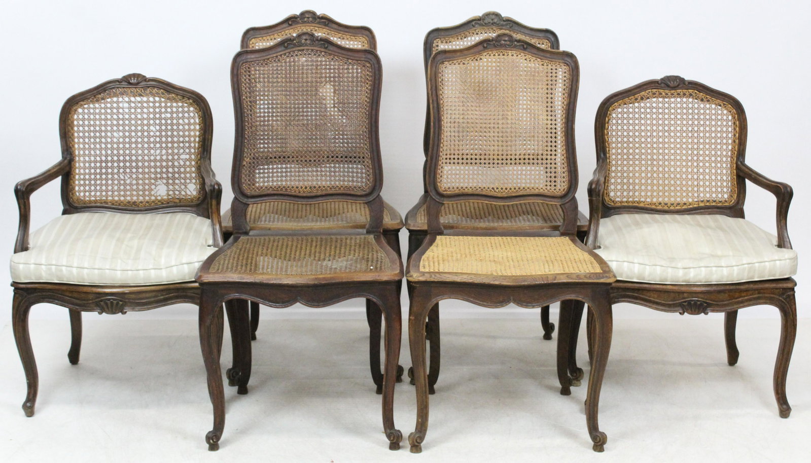 Assembled set of Oak shell carved dining chairs: Assembled set of Oak shell carved dining chairs early 20th c Louis style cane seat chairs four side chairs and two arm chairs .