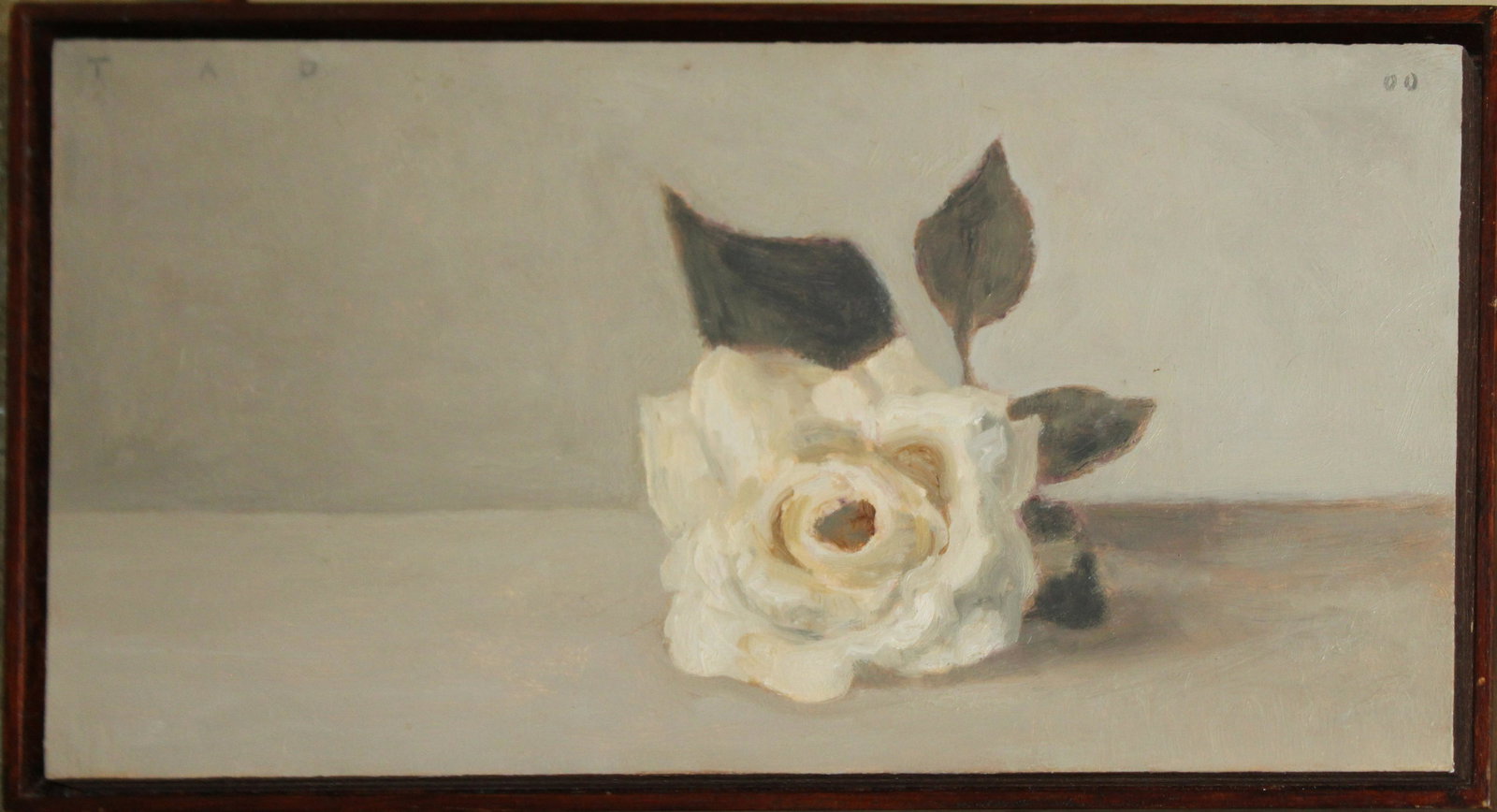TAD Spurgeon (AM 1955- ) White Rose (1 of 4)