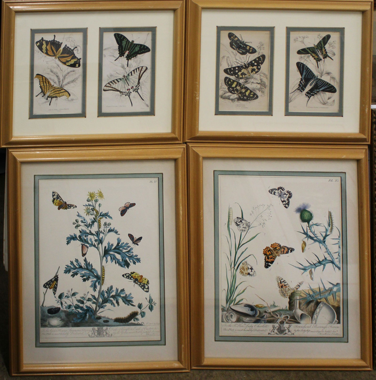 19th c Butterfly prints (1 of 5)