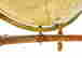 item-120232872=8