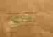 item-120232938=4