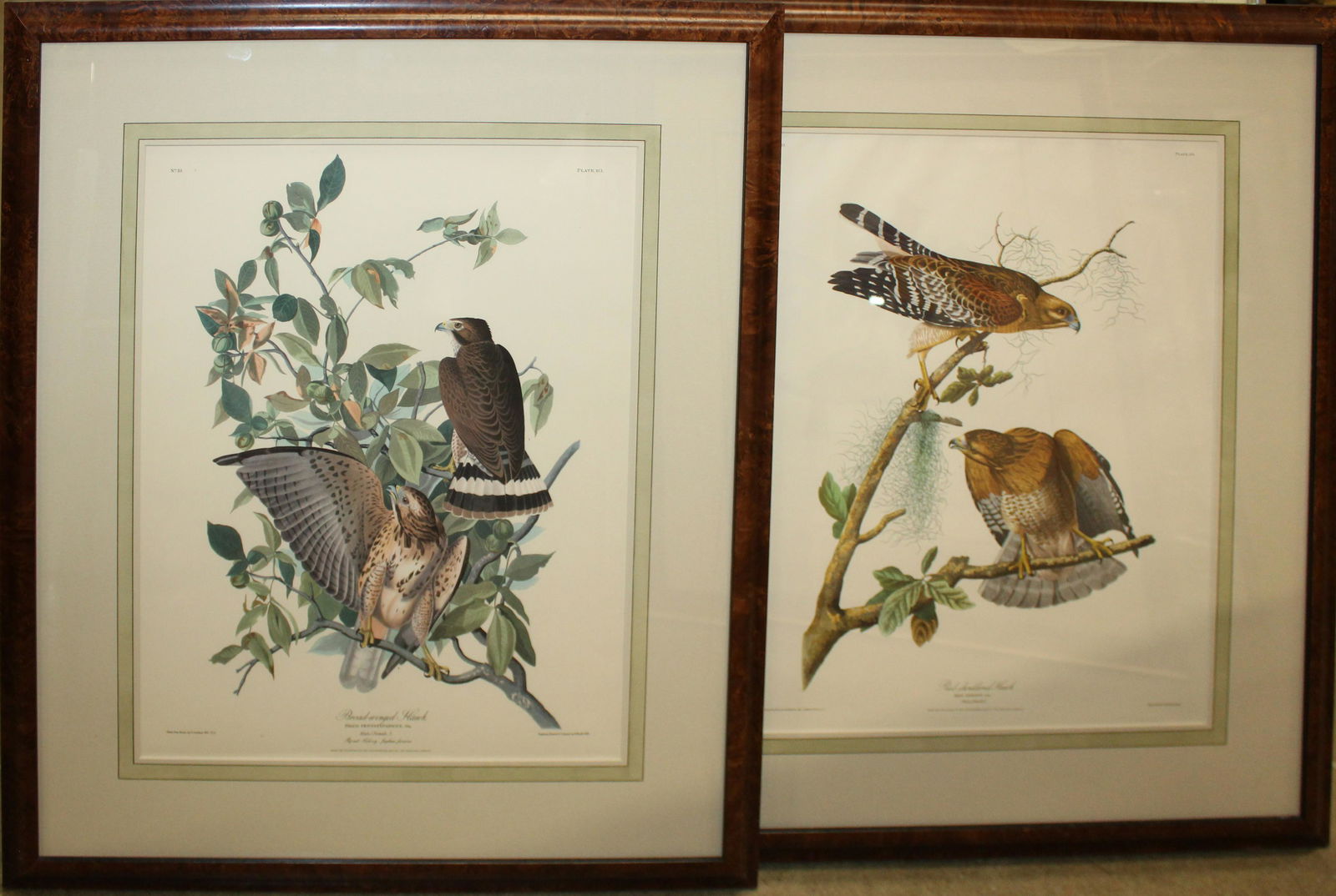 Two framed Audubon Prints (1 of 5)