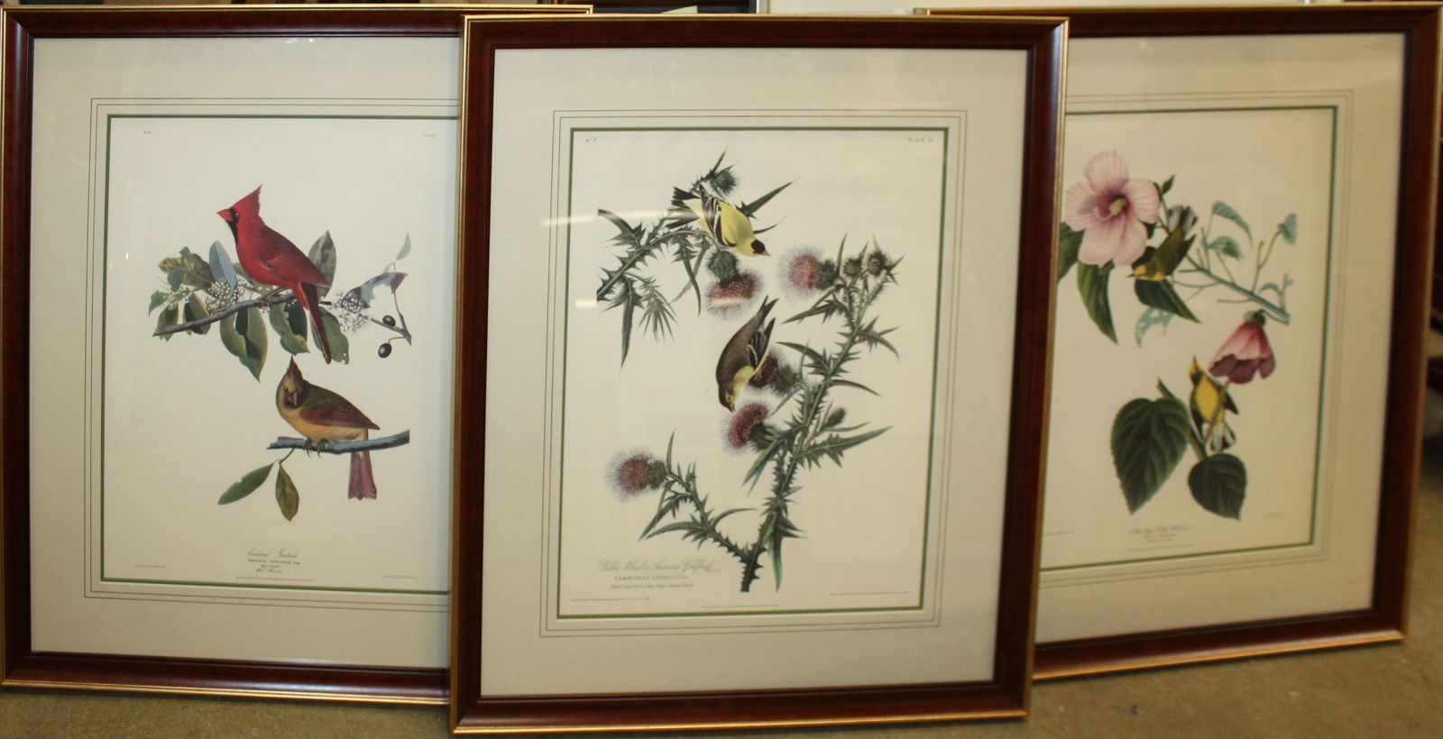 Three Framed Audubon Prints (1 of 4)