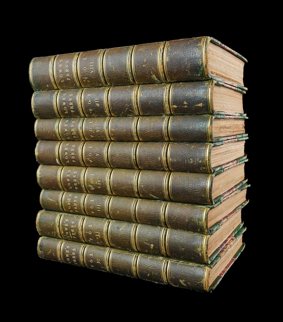 1856 Lowe Ferns: British and Exotic: 1856 E J Lowe "Ferns: British and Exotic" (8 vols), London, with 479 color plates of ferns, 3/4 green morocco, faded and rubbed, marbled boards and end-papers. 9 3/4" x 6"