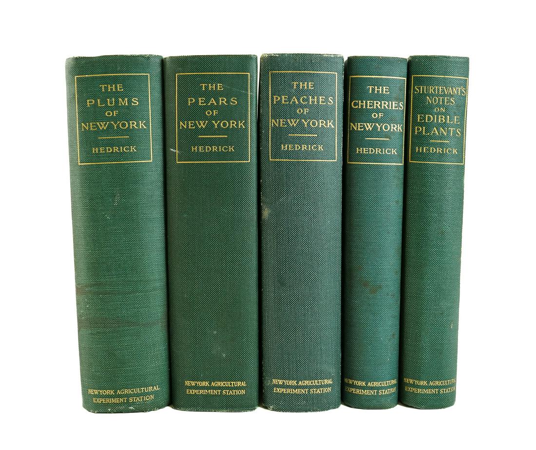 1911-21 Hedrick Fruits of New York (1 of 3)