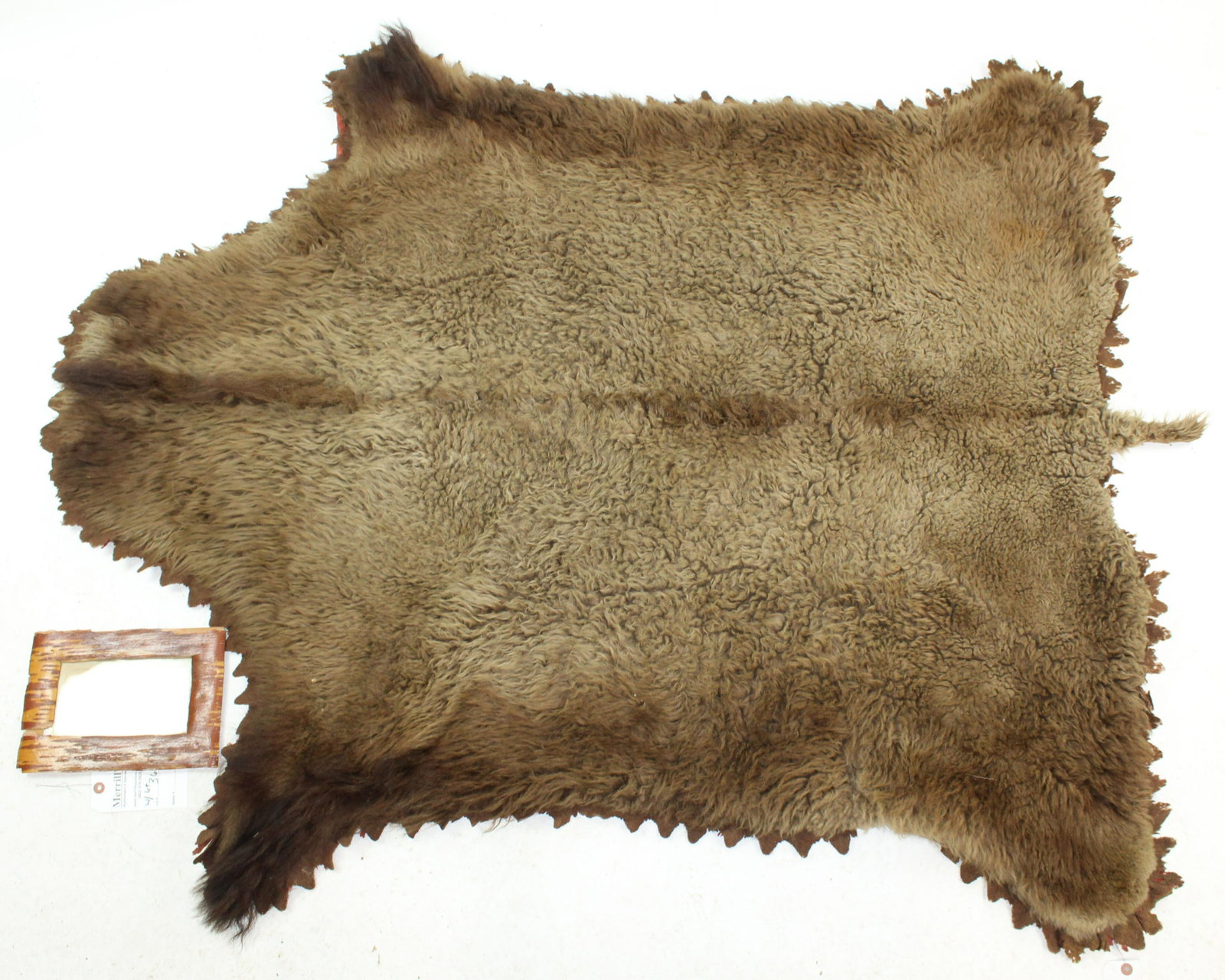 19th c. Buffalo Robe with Old Note of Provenance: 19th century buffalo pelt fur sleigh robe with wool felt back, accompanied old note of provenance from Willsboro/Elizabethtown, NY families, in birch bark frame 67"-56"