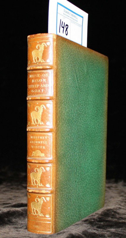 1904 Whitney, Grinnell, and Wister "Musk-Ox Bison : 1904 Whitney, Grinnell, and Wister "Musk-Ox Bison Sheep and Goats" sporting book